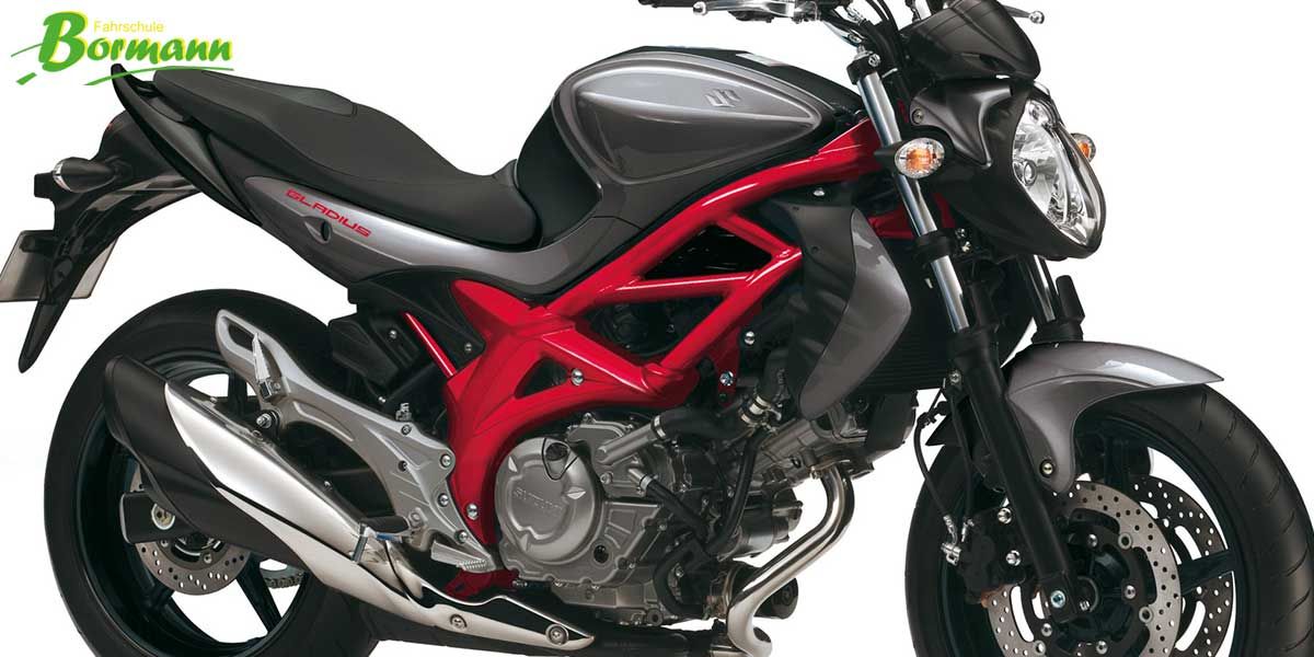 Suzuki Gladius